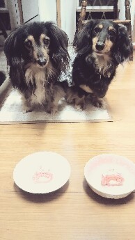 IMG_20170607_115302.jpg