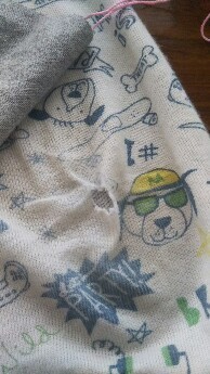 IMG_20170927_112738.jpg
