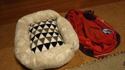 IMG_20171207_140926.jpg