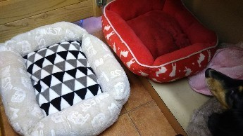 IMG_20171207_141001.jpg