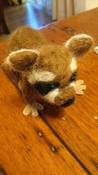 IMG_20180205_213027.jpg