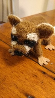 IMG_20180205_213049.jpg