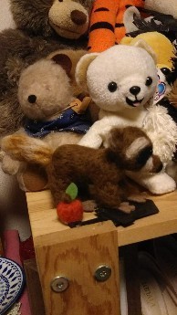 IMG_20180301_223036.jpg
