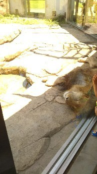 IMG_20180522_175000.jpg