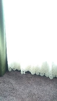 IMG_20180801_101507.jpg