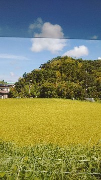 IMG_20180829_095301.jpg