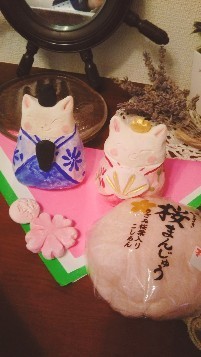 IMG_20190307_093439.jpg